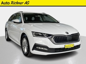 SKODA Octavia Combi 2.0 TDI Ambition 4x4 DSG - Auto Richner AG - Verkaufsfiliale in Arbon | Carrosserie & Werkstatt in Steinach 1